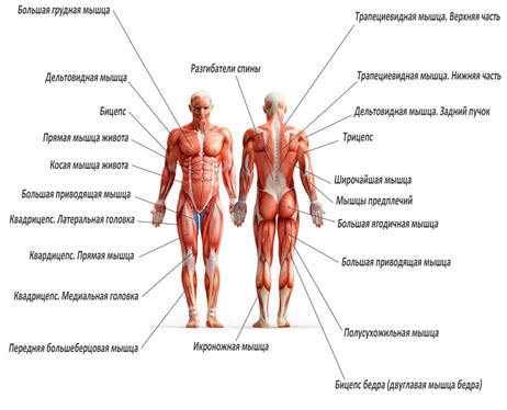 Изображение на обложке