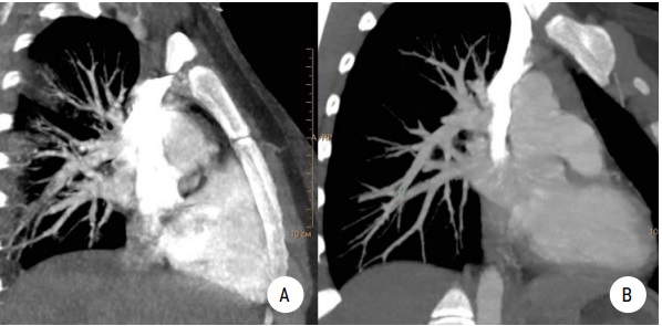 Изображение на обложке
