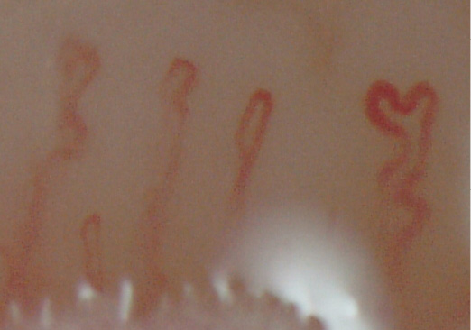 Изображение на обложке