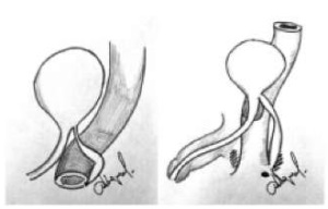 Изображение на обложке