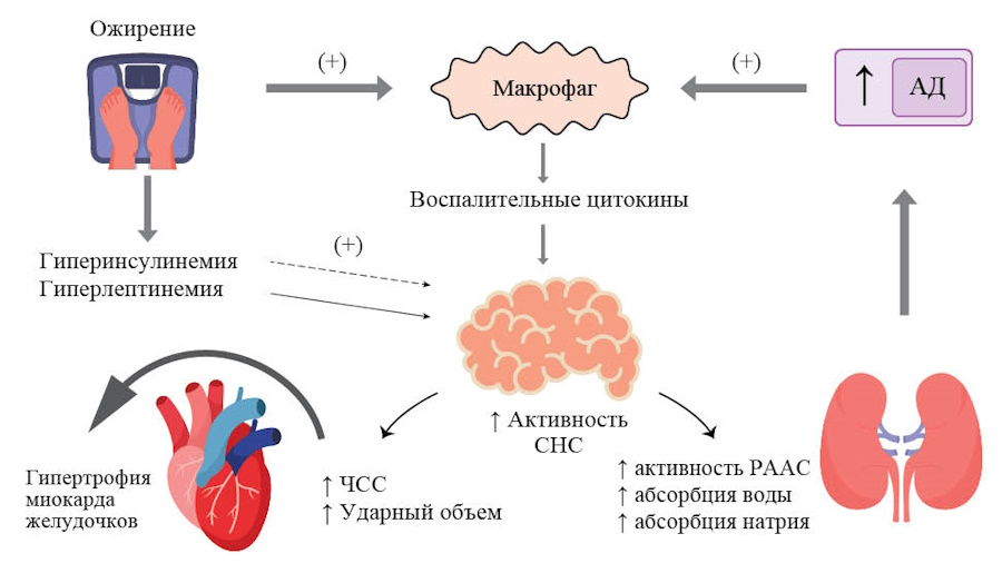 Изображение на обложке
